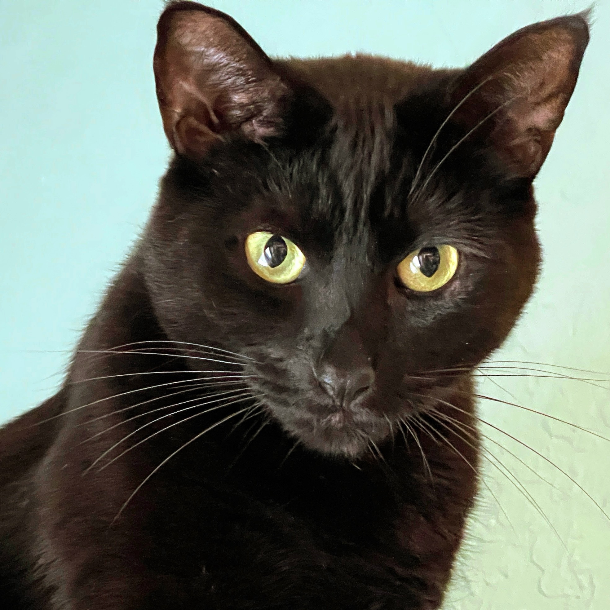 A graph showing the current weather conditions in Aptos